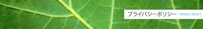 プライバシーポリシー